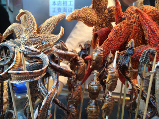 Illustration for article titled It's The Snacktaku Fried Insect Special